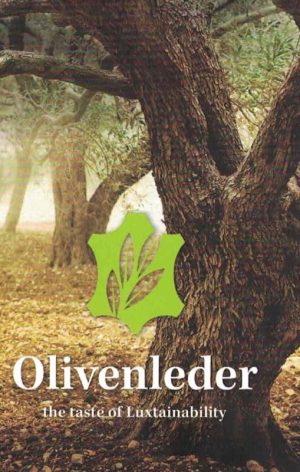 Olivenleder cover_NA